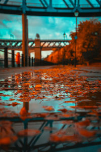 Reflection of bridge in water during autumn