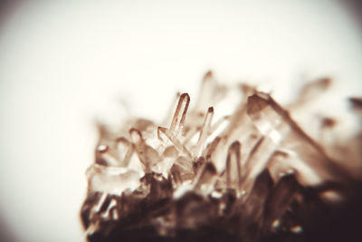 Close-up of broken glass against white background