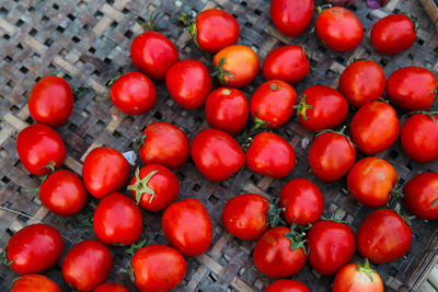 High angle view of tomatoes