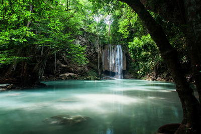 Scenic view of waterfall in forest