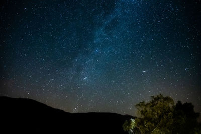 Low angle view of star field against sky at night