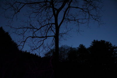 Low angle view of silhouette trees against sky at night