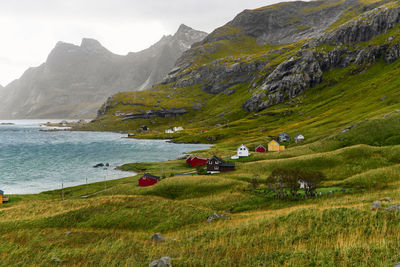 Scenic view of hiking trail leading to houses in village vinstad at the coast in lofoten norway