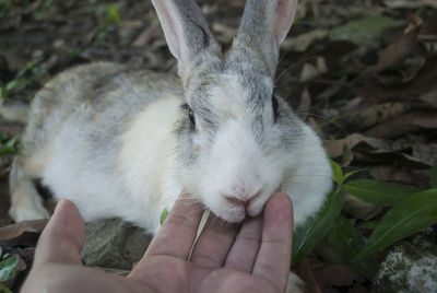 Close-up of hand holding hands