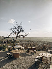 Bare tree on table against sky