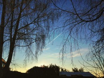 Low angle view of bare trees against sky