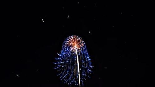 Firework display at night