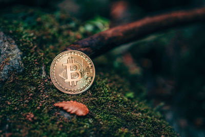 Close-up of coins on field