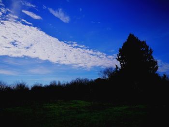 Silhouette trees against blue sky
