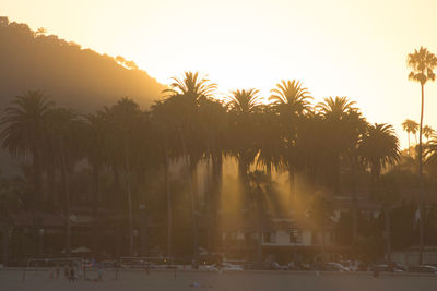 Silhouette palm trees against sky during sunset