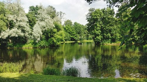 Scenic view of lake in forest against sky