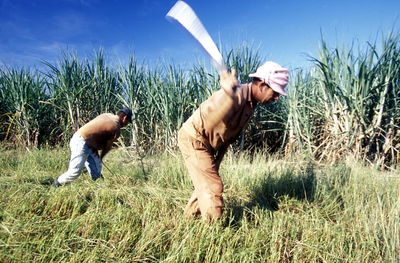 People standing on grassy field