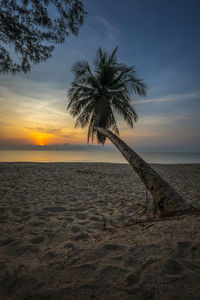 Scenic view of sea against sky at sunset