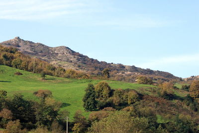scenics - nature