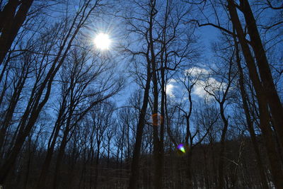Low angle view of bare trees against sky