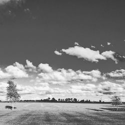 Scenic view of field against sky