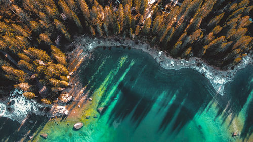 High angle view of swimming underwater