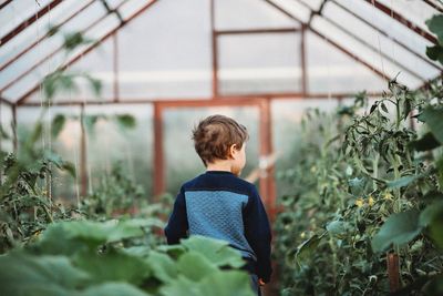Rear view of woman standing in greenhouse