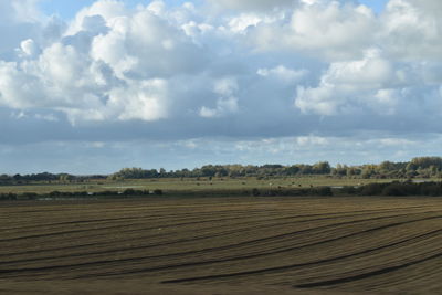 Scenic view of field against sky