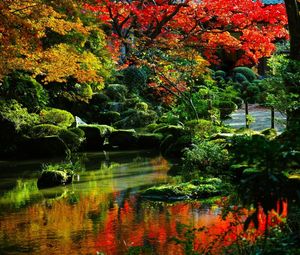 Autumn trees in park