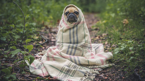 Dog sitting on field