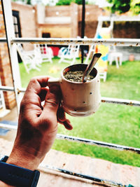 Cropped hand holding potted plant