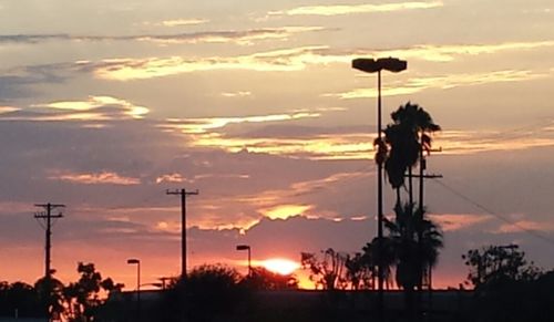 Silhouette of trees at sunset