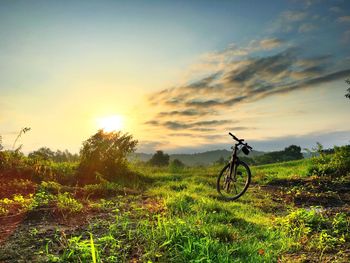 Scenic view of field against sky during sunset