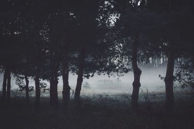 Silhouette trees on field in forest against sky