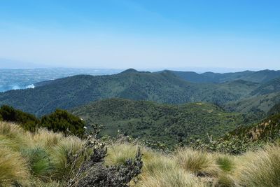 Scenic view of landscape against clear sky at aberdares kenya 