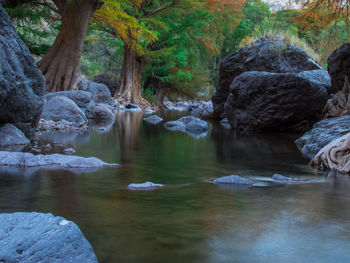 River flowing through rocks