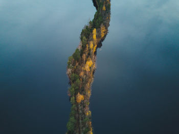 Aerial shot of a forest and lake.