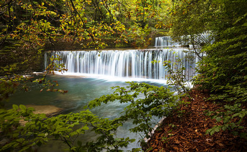 Scenic view of waterfall in forest