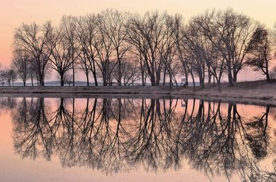 Silhouette trees by lake against sky during sunset