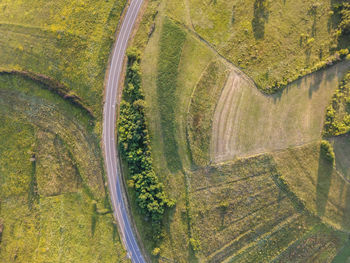 High angle view of agricultural field