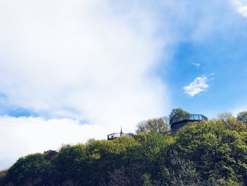 Low angle view of trees against sky