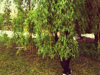 Woman hiding behind tree