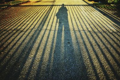 Shadow of person with fence on road