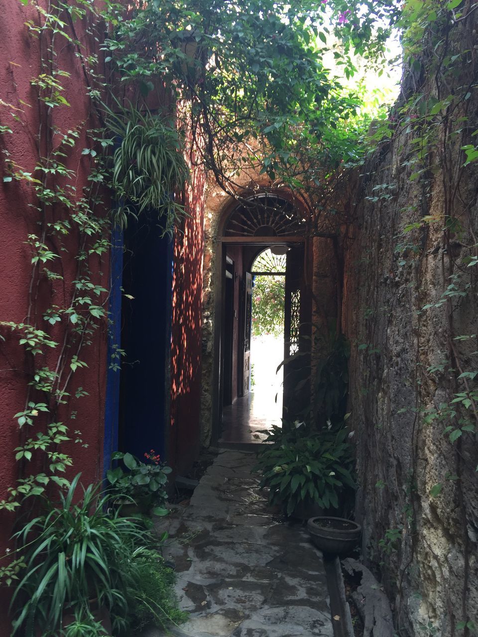 WALKWAY IN PARK