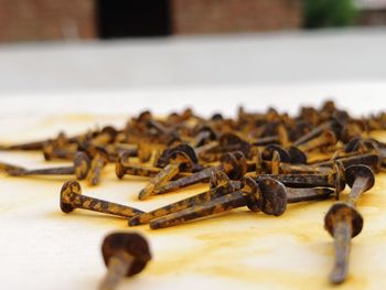 Close-up of rusty metal on table