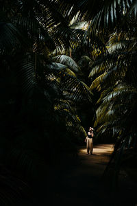 Female traveler standing on path among tall green tropical palms in darkness and looking away in summer day in azores, sao miguel
