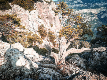 View of rock formation on land