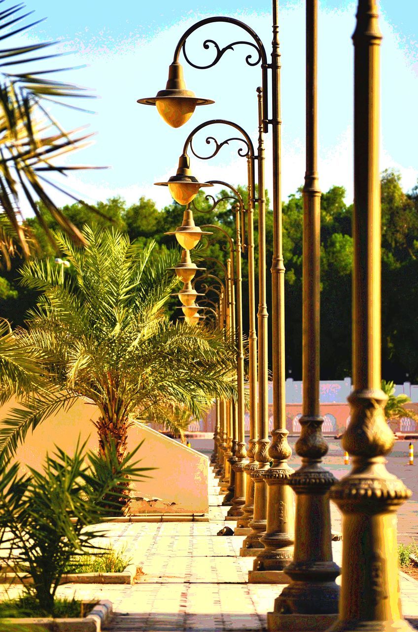 PALM TREES AND PLANTS AGAINST SKY