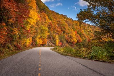 Road amidst trees against sky