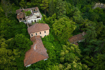 Abandoned building in the middle of a forest from drone, high angle