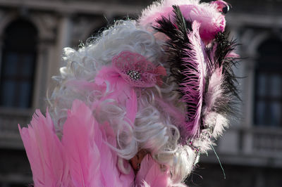 Close-up of pink flower