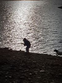 High angle view of silhouette bird on beach