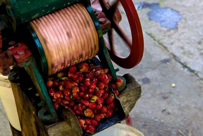 High angle view of coffee crops in machinery