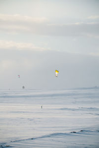 A beautiful, misty morning in the norwegian hills in winter. white, hazy landscape. 