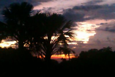 Silhouette palm trees against sky at sunset